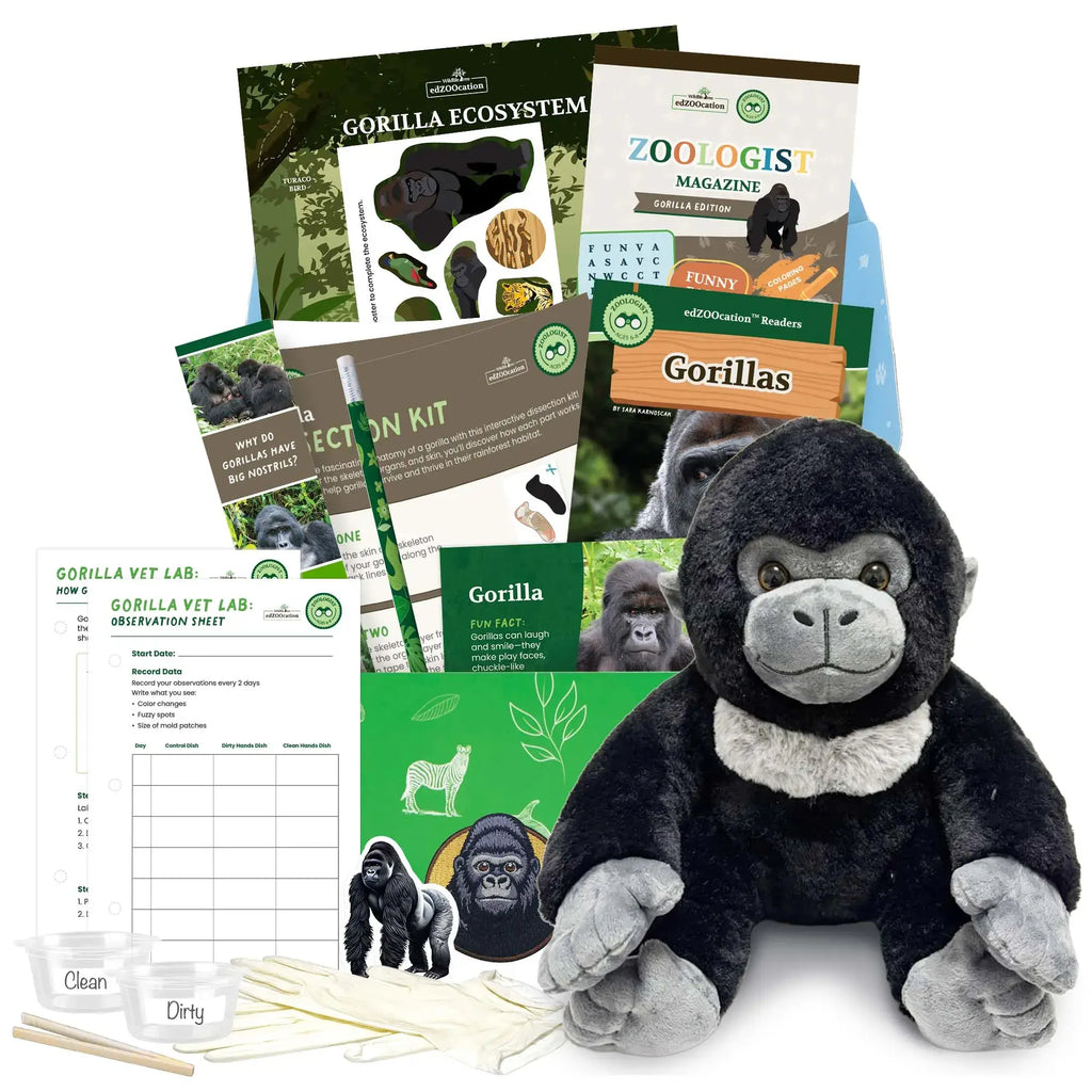 A gorilla-themed educational subscription box from edZOOcation designed for ages 6–8, featuring a plush gorilla toy, wildlife magazines, reading materials, science observation activities, stickers, crafts, and hands-on learning tools focused on gorillas and conservation.