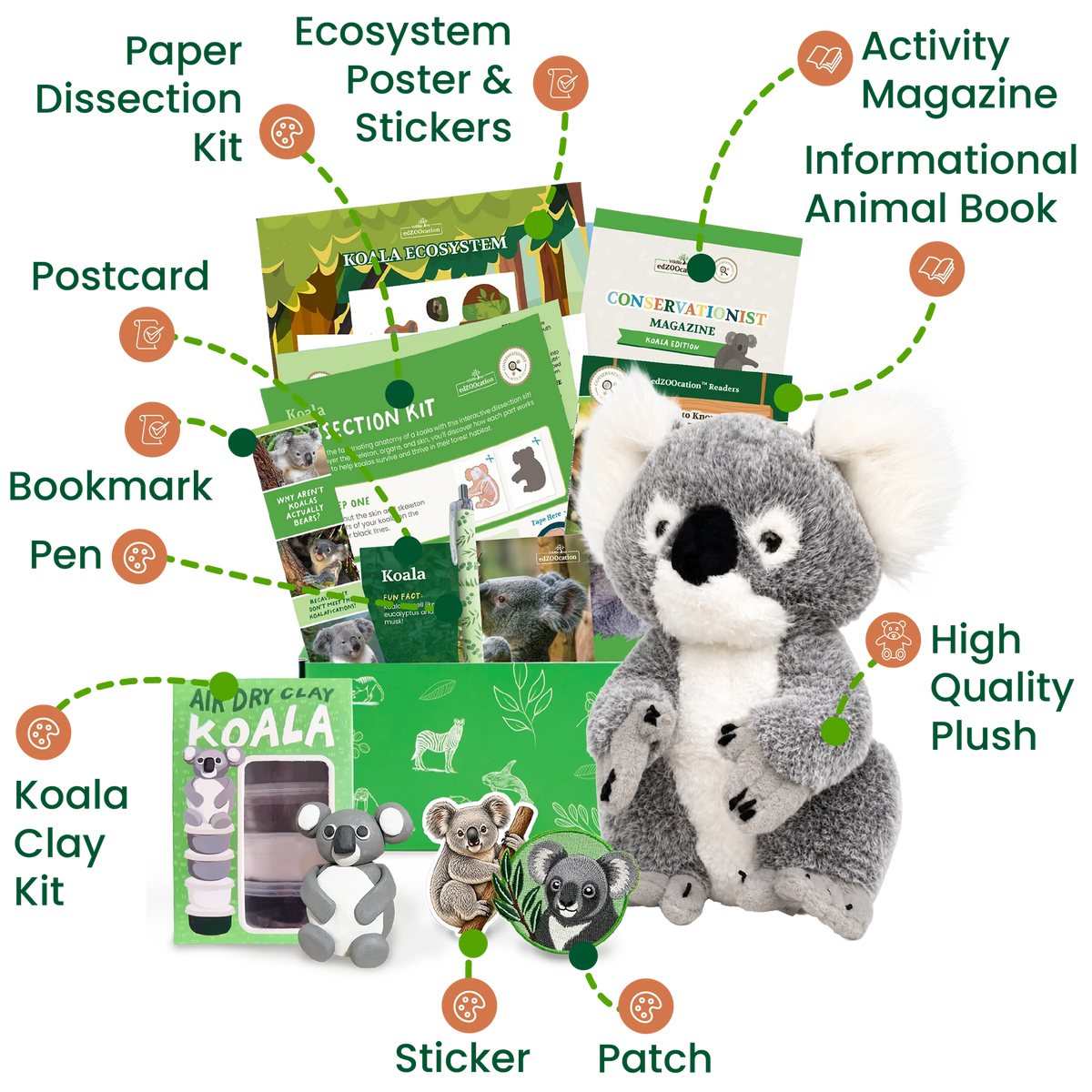 Koala Conservationist Box (Age 9-12)