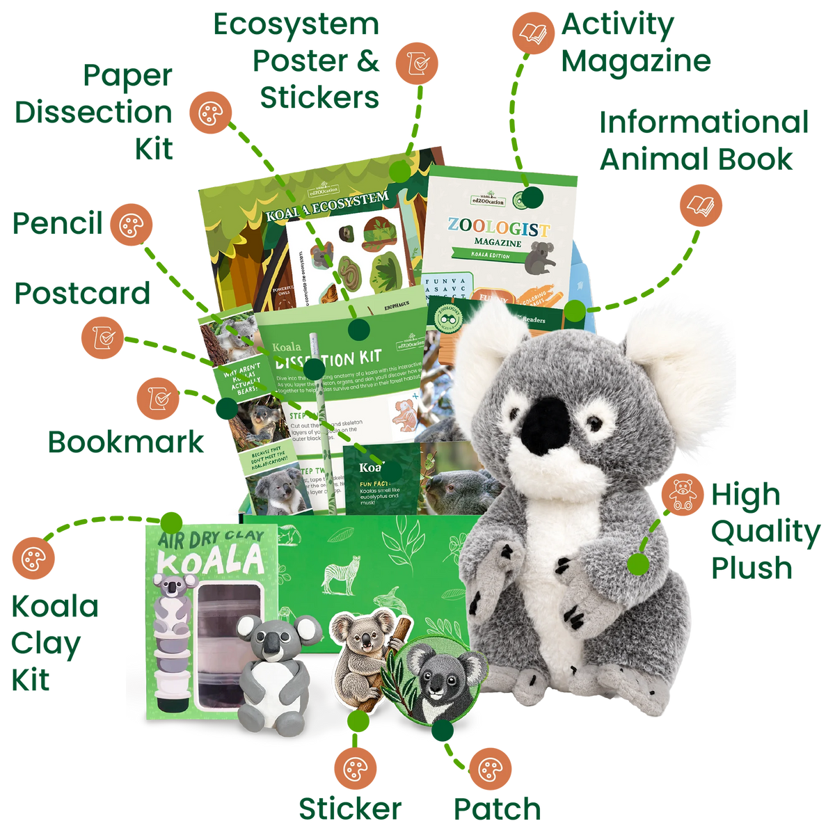 Koala Zoologist Box (Ages 6-8)