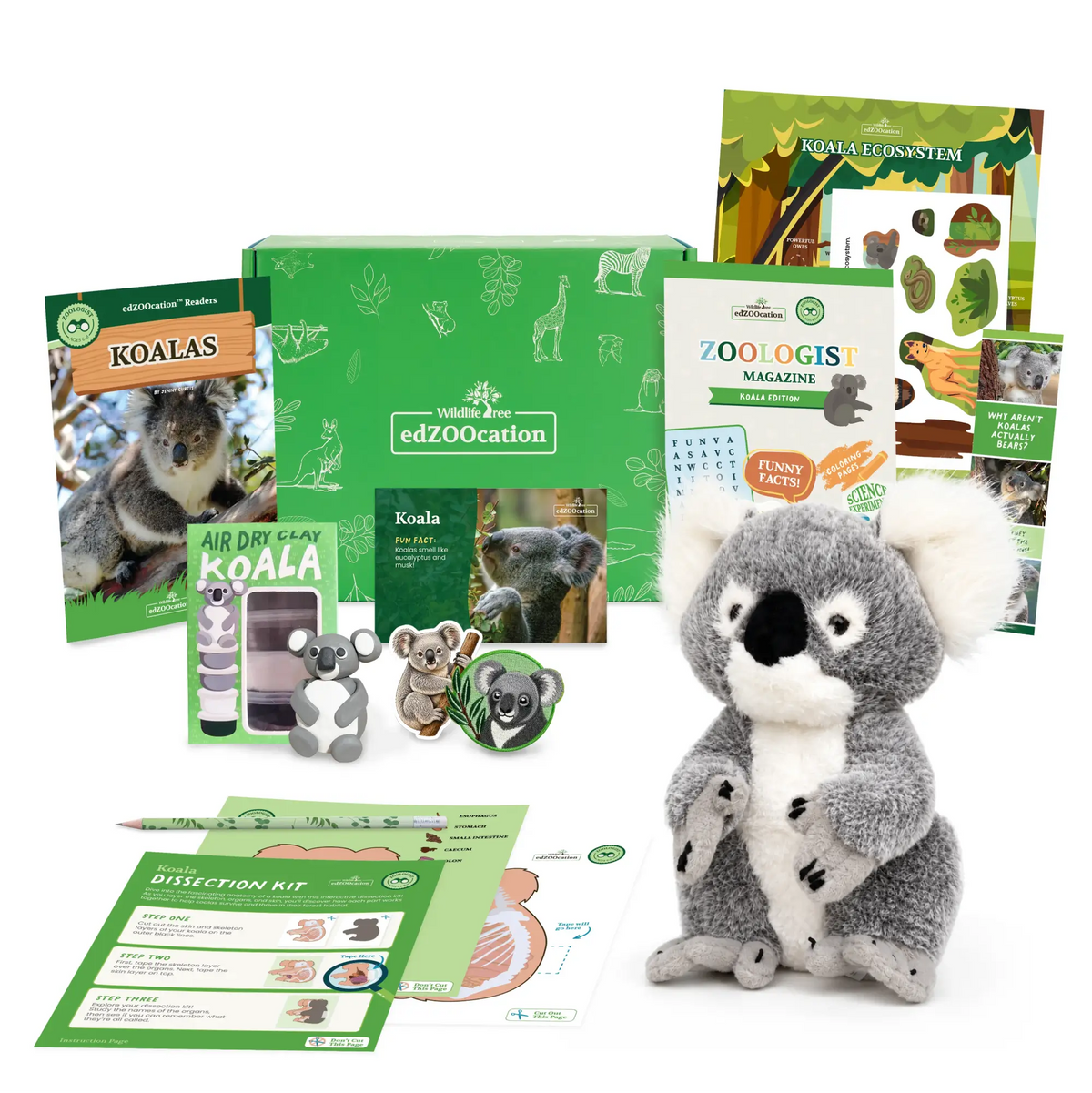 Koala Zoologist Box (Ages 6-8)