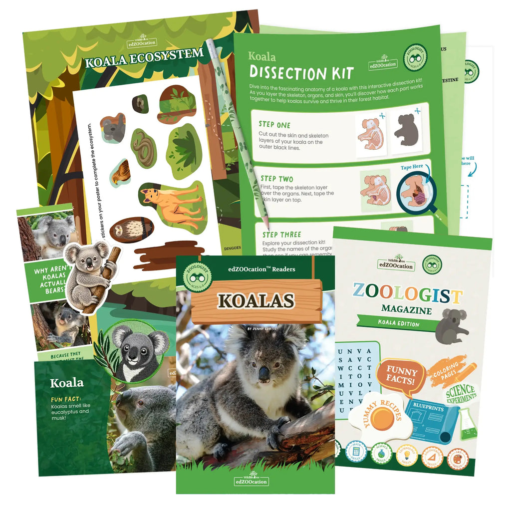Koala Zoologist Box (Ages 6-8)