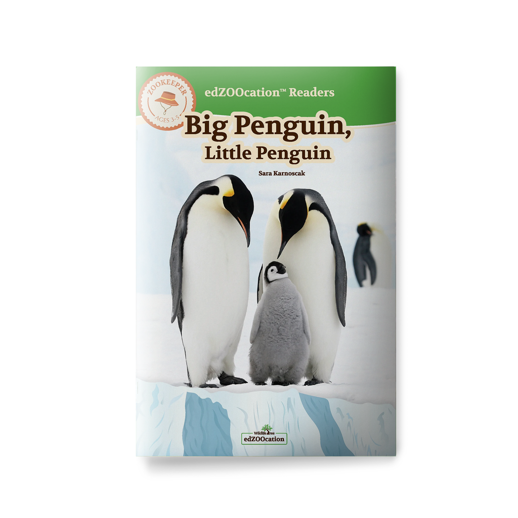 Book cover of 'Big Penguin, Little Penguin' with penguin illustration on a white background