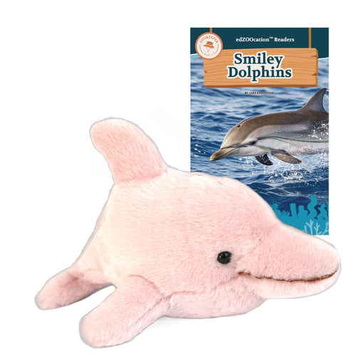 Plush dolphin toy next to a book titled 'Smiley Dolphins' on a white background