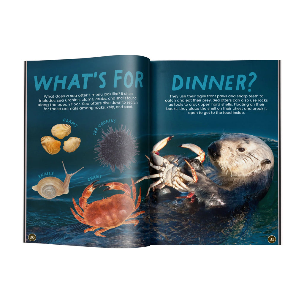 All You Need to Know About Sea Otters edZOOcation Conservationist Book - Paperback