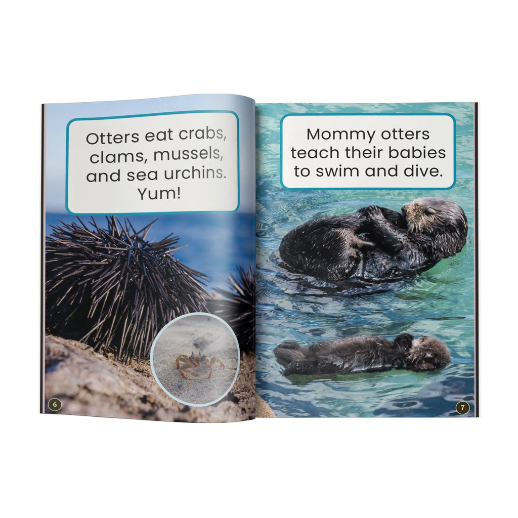 Otter Play edZOOcation Zookeeper Book - Paperback
