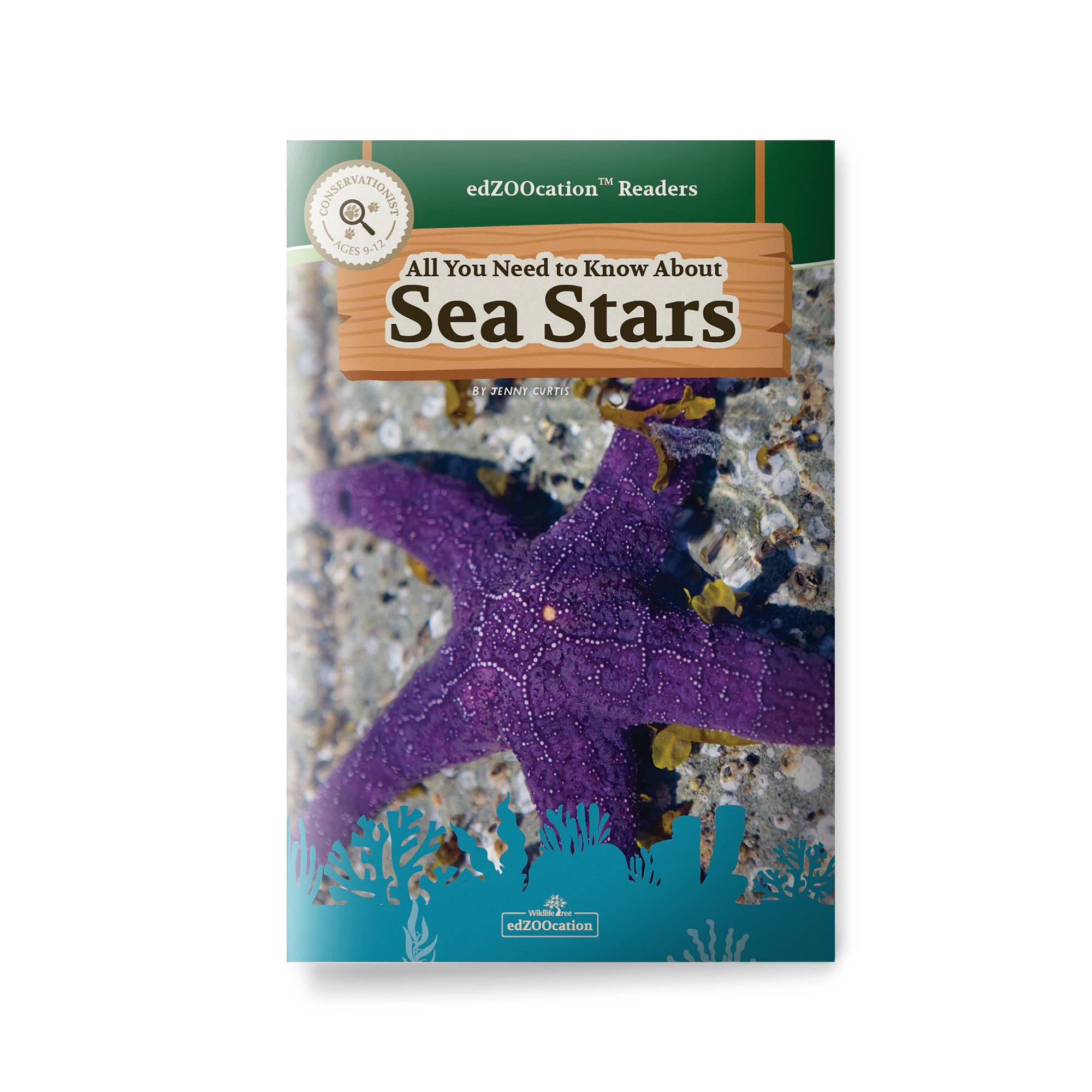 Book cover of 'All You Need to Know About Sea Stars' with a purple sea star on a blue background.