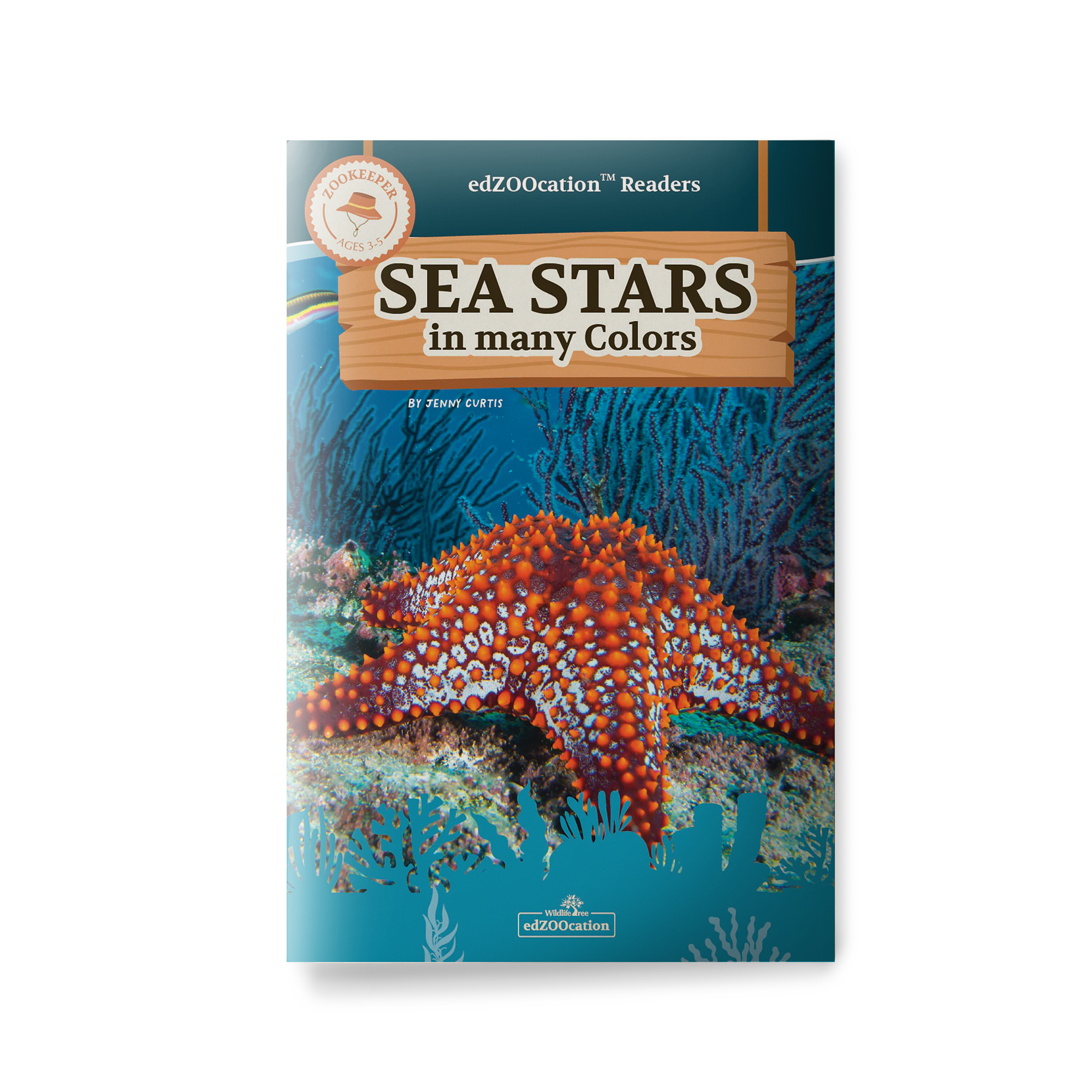 Book cover of 'Sea Stars in Many Colors' with a starfish illustration on a blue background