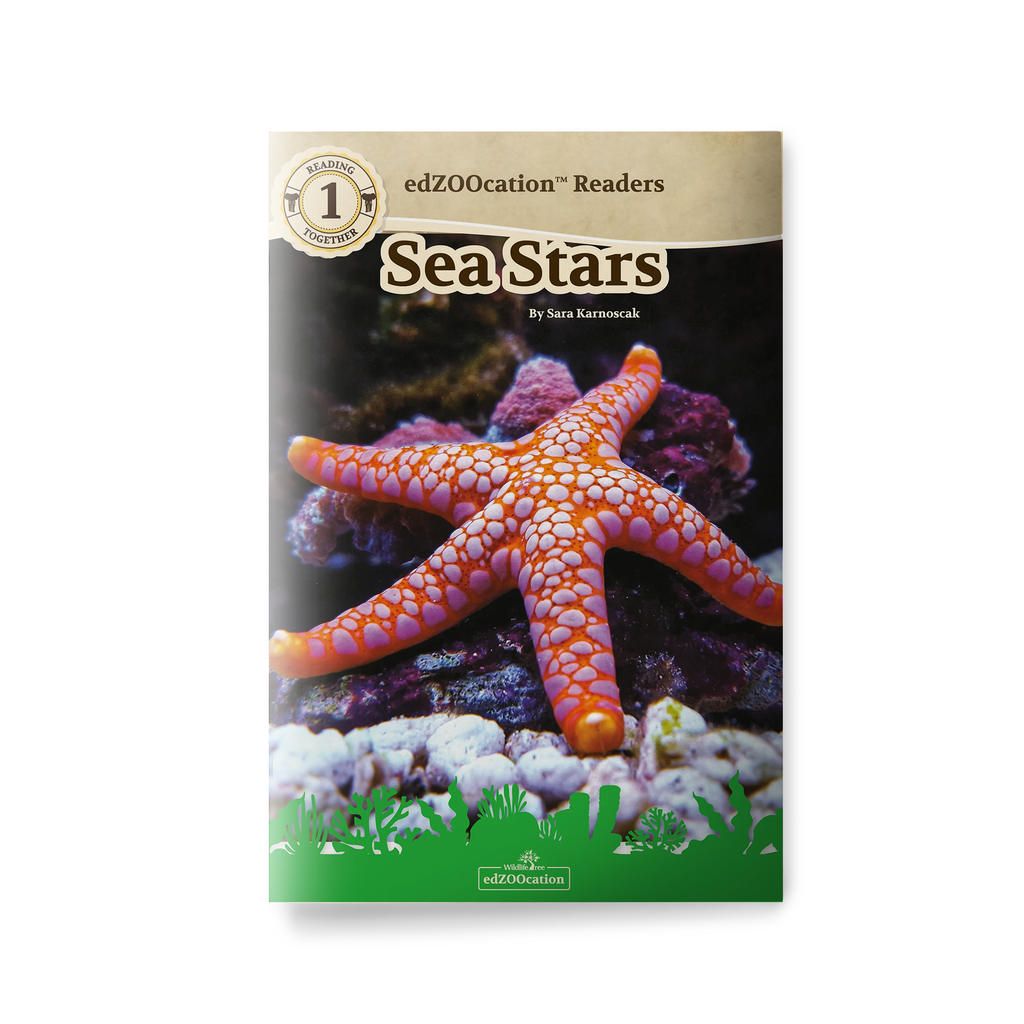 Book cover of 'Sea Stars' by edZOOcation Readers with a starfish on a white background