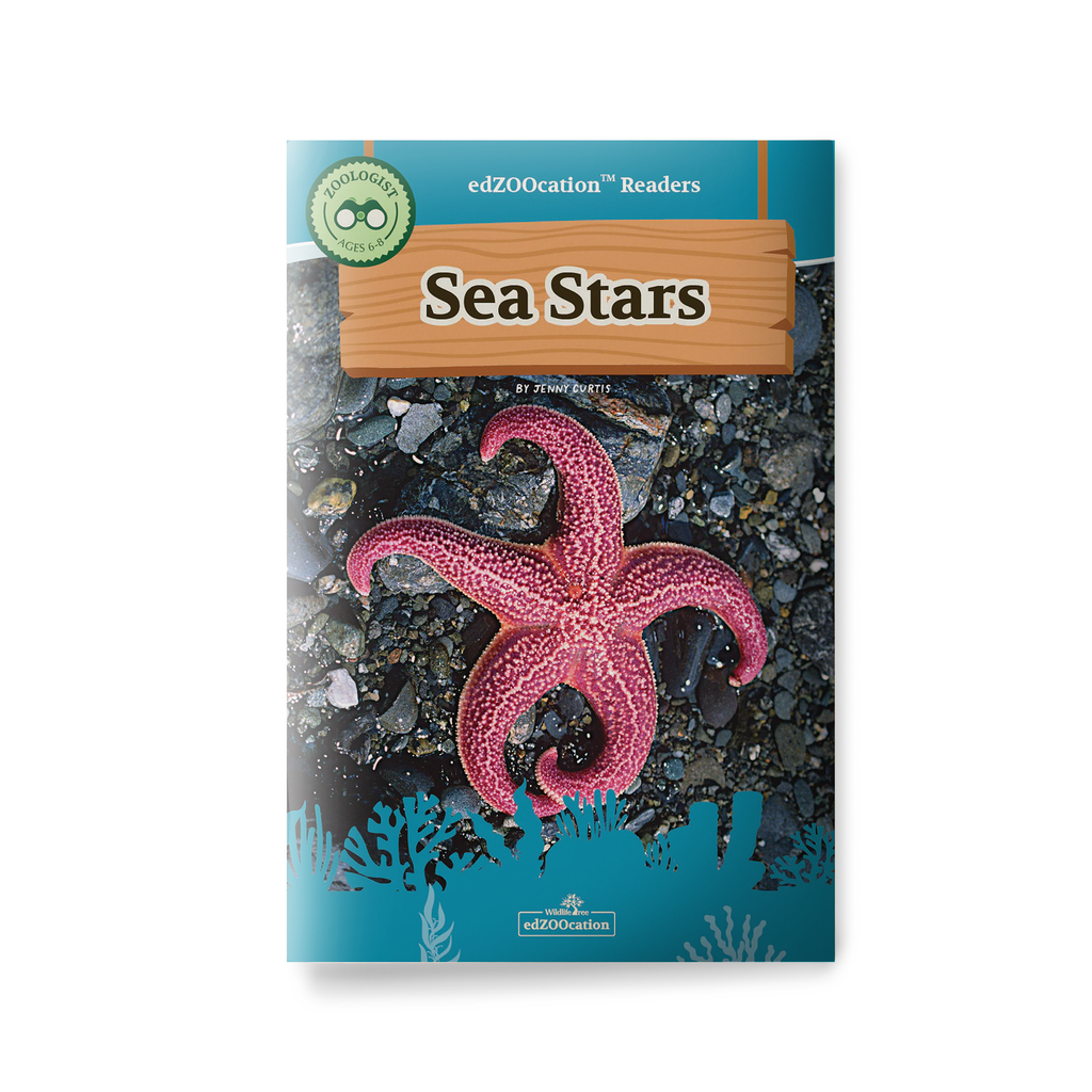 Book cover of 'Sea Stars' with a pink starfish on a blue background