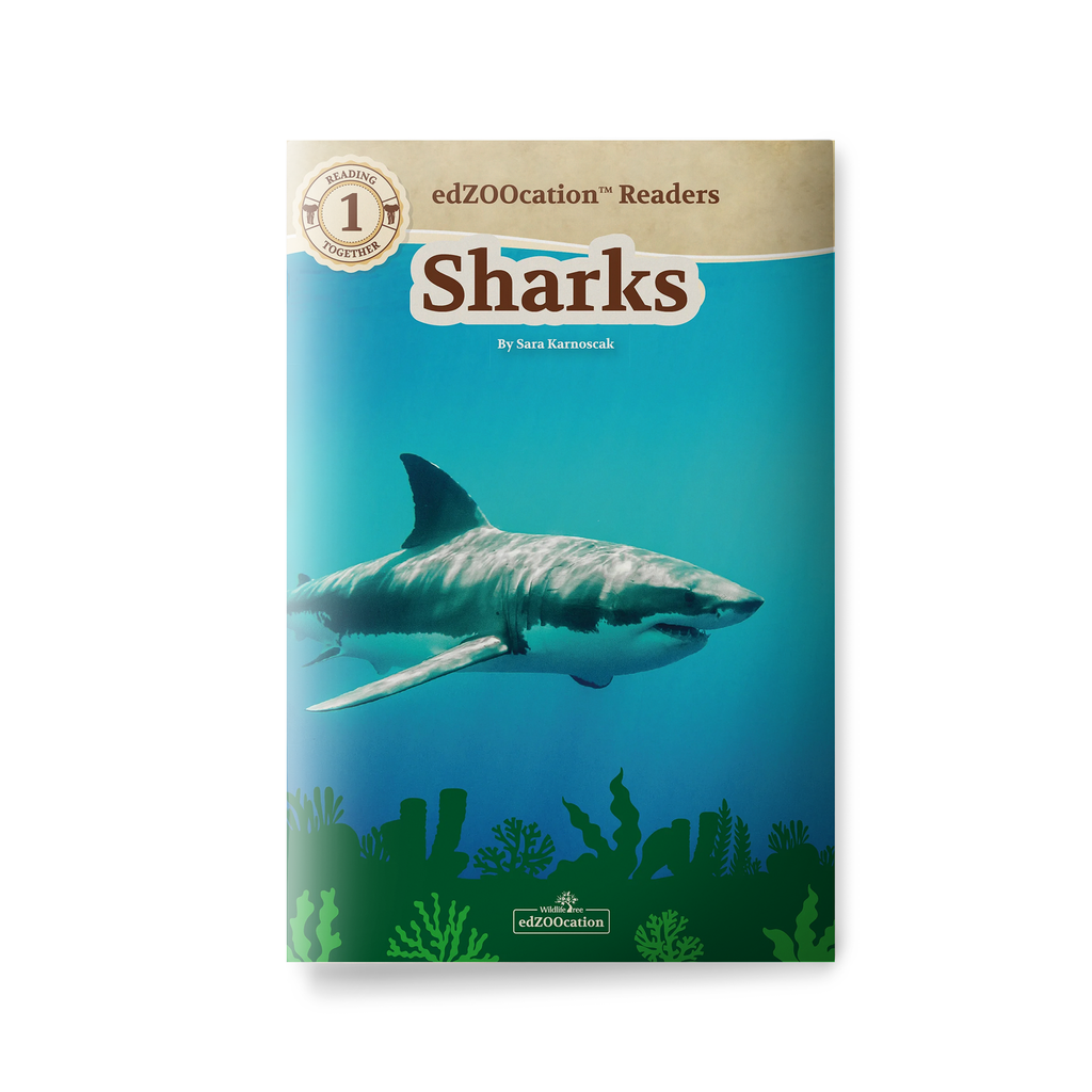 Book cover of 'Sharks' by edZOOcation with a shark illustration on a blue background