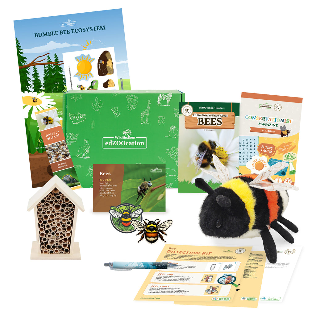 Bee Conservationist Box (Age 9-12)