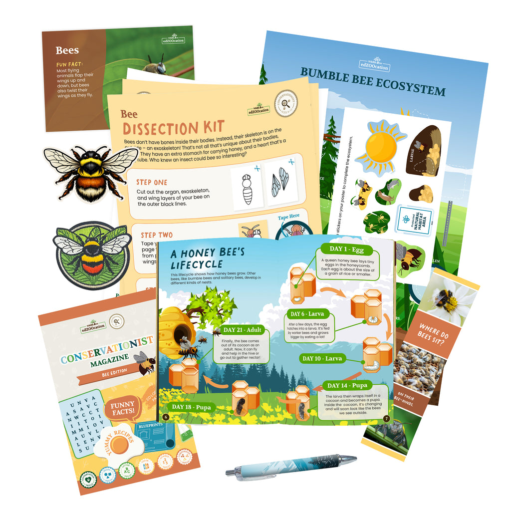 Bee Conservationist Box (Age 9-12)