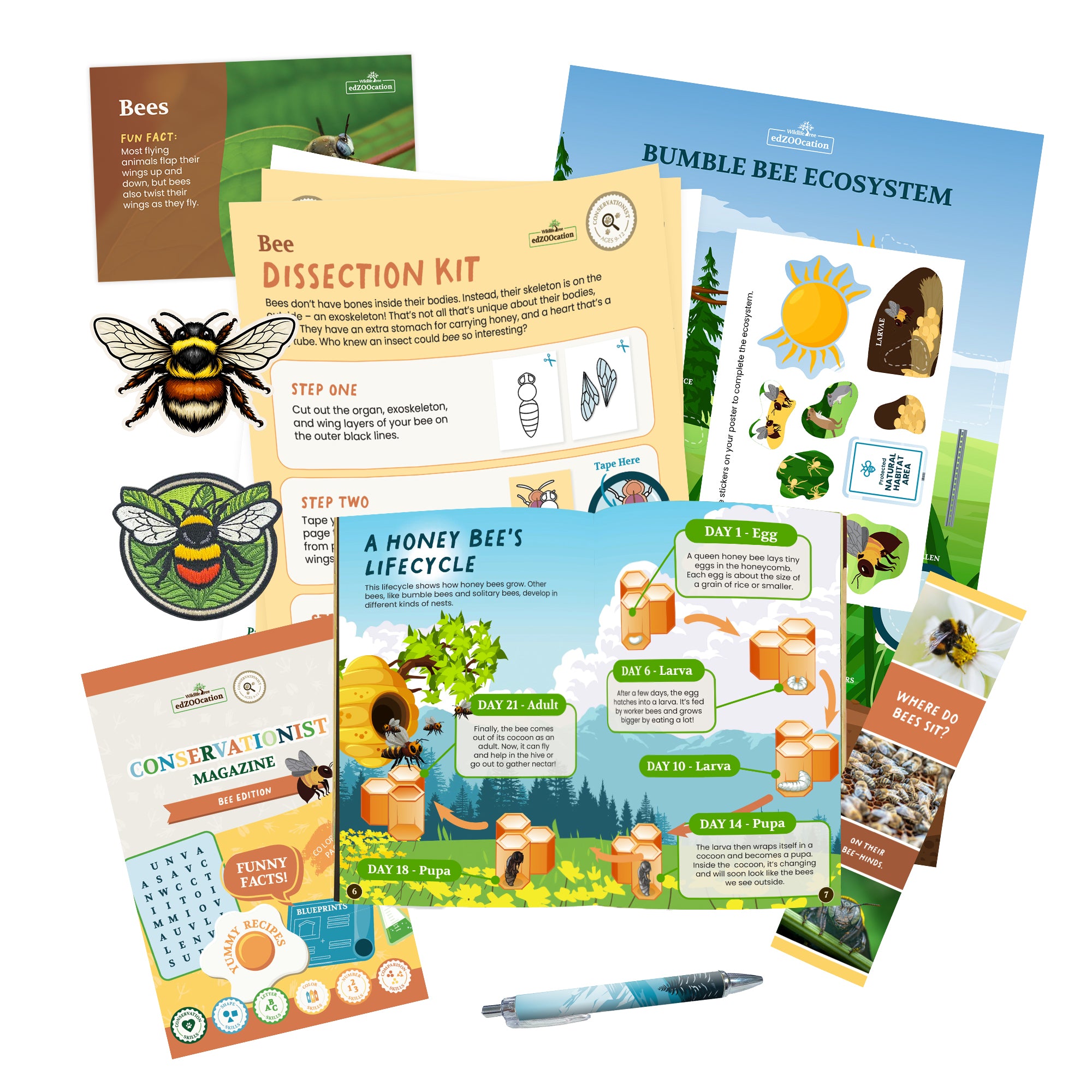 Bee Conservationist Box (Age 9-12)
