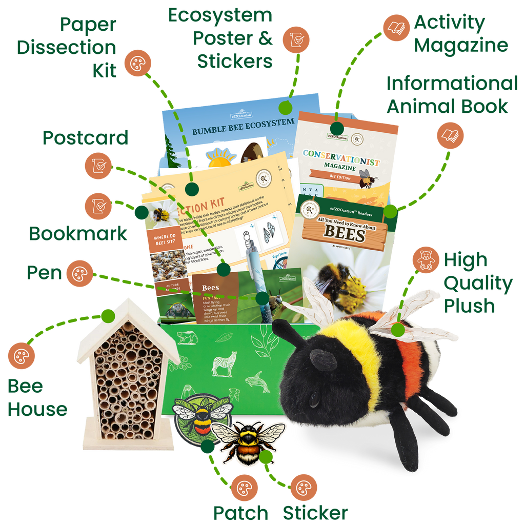 Bee Conservationist Box (Age 9-12)