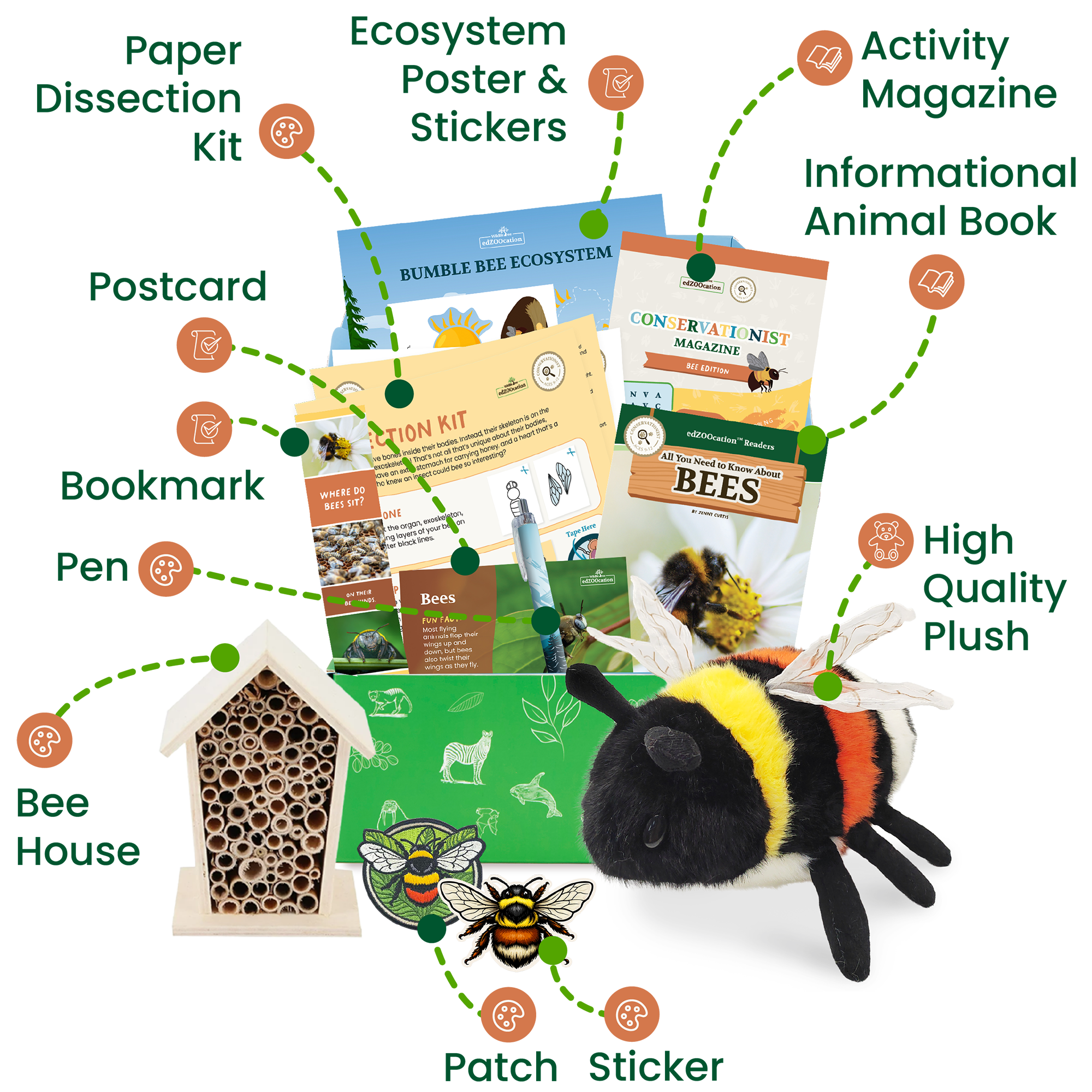 Bee Conservationist Box (Age 9-12)