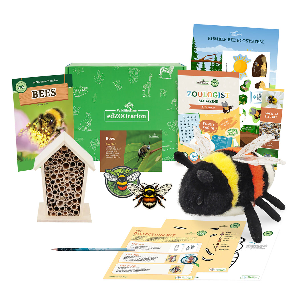 Bee Zoologist Box (Ages 6-8)
