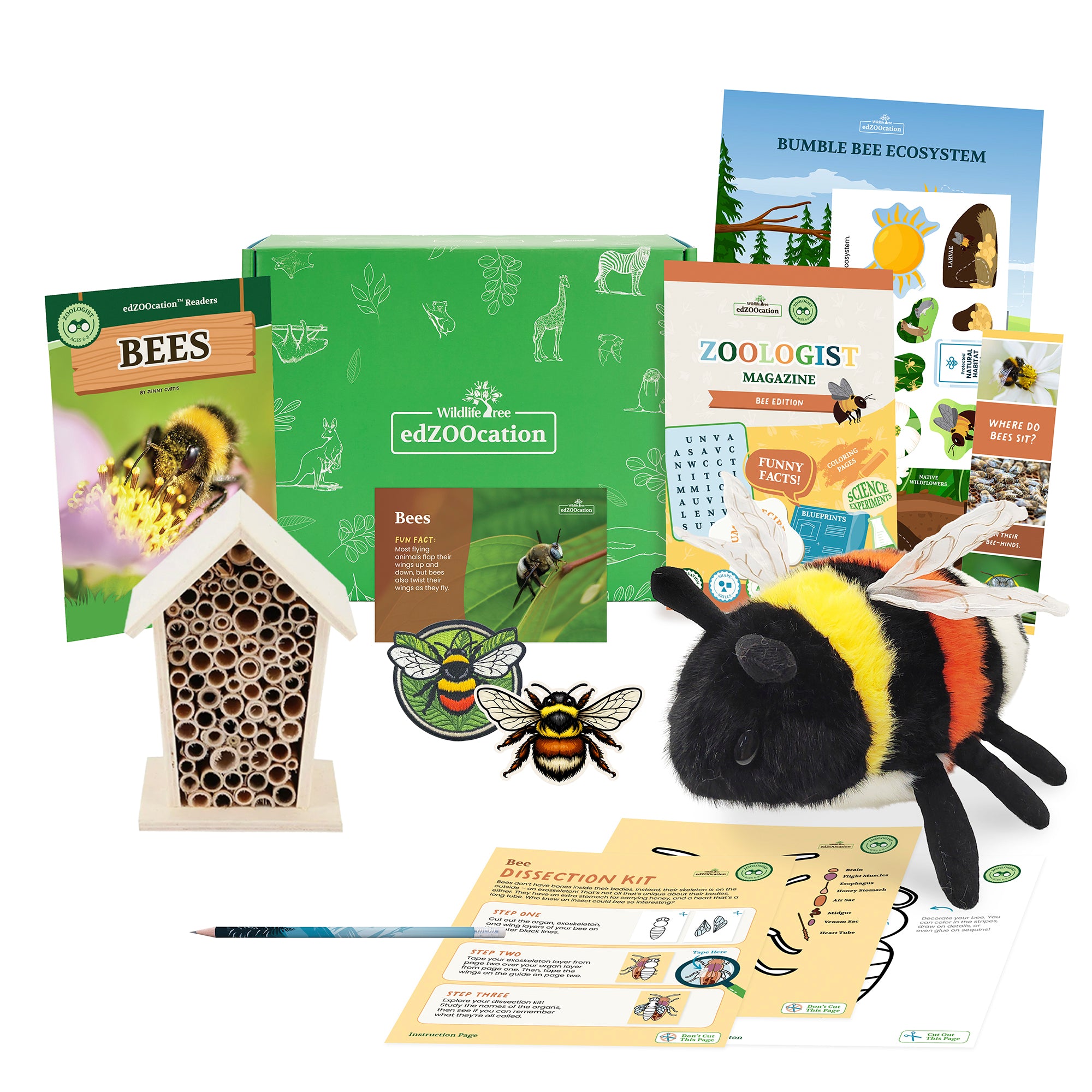 Bee Zoologist Box (Ages 6-8)