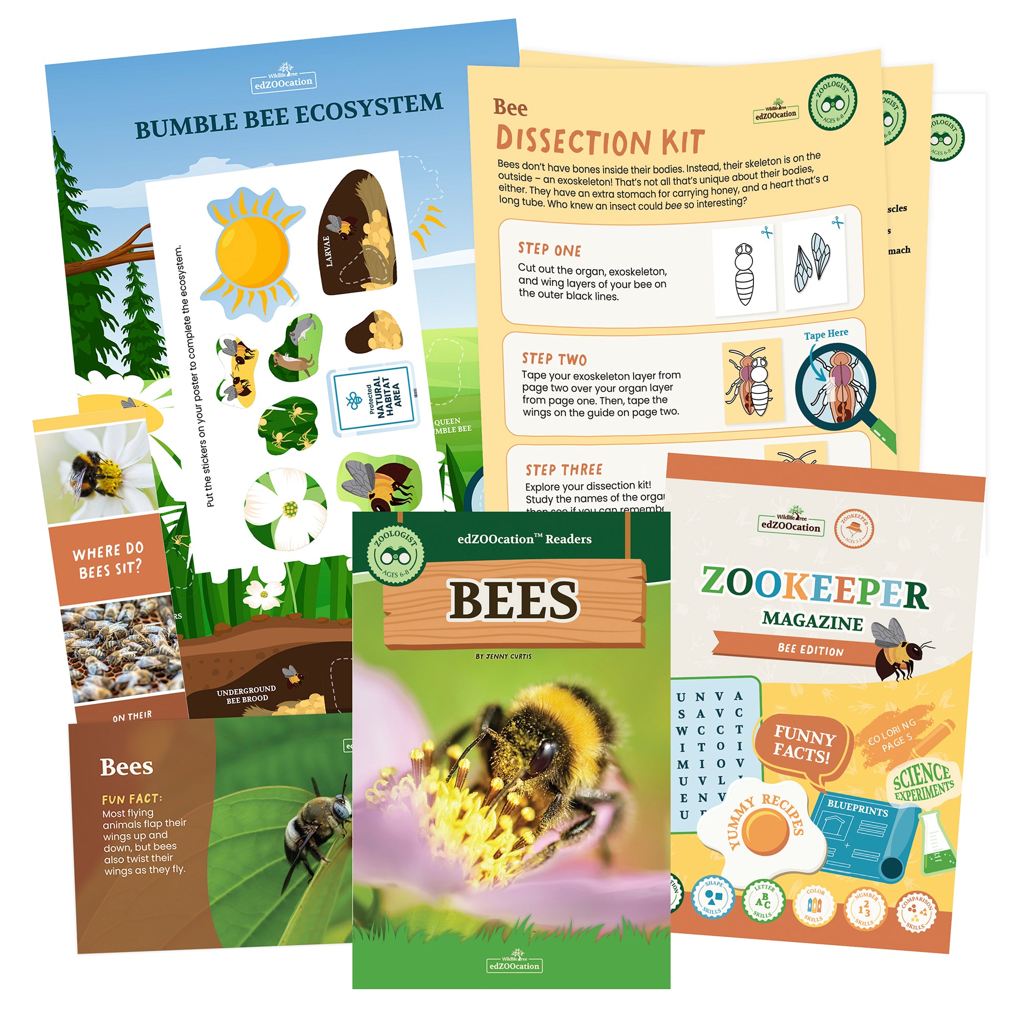 Bee Zoologist Box (Ages 6-8)