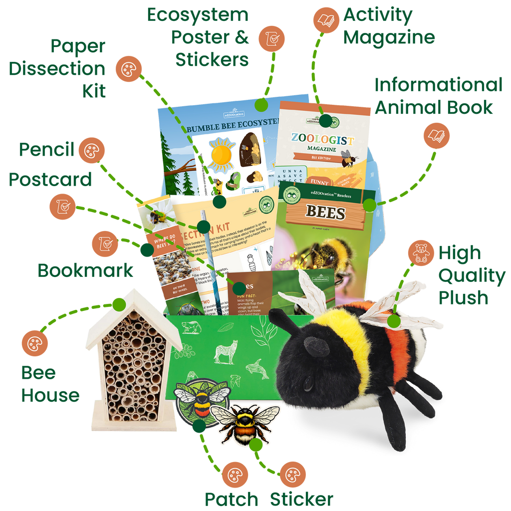 Bee Zoologist Box (Ages 6-8)