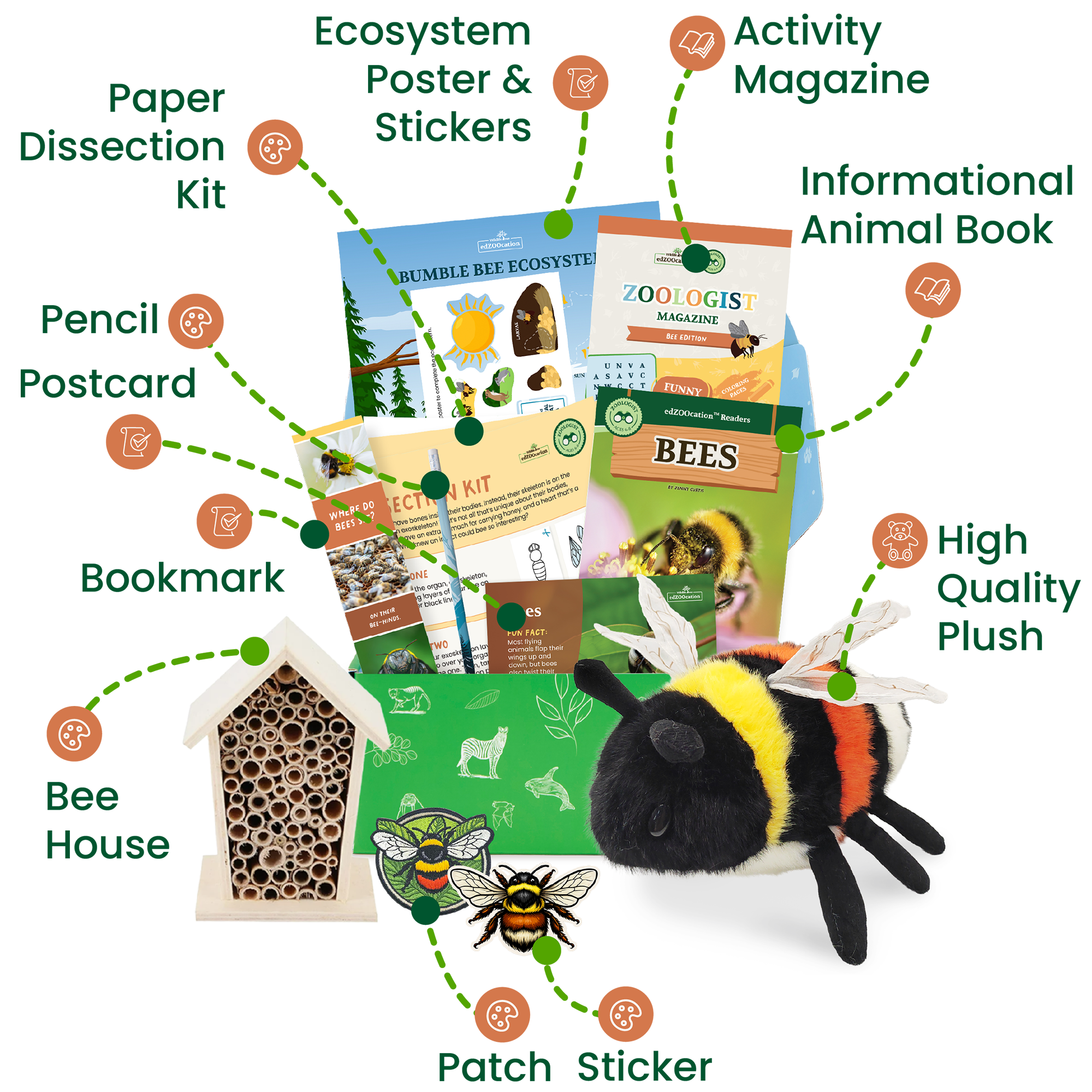 Bee Zoologist Box (Ages 6-8)