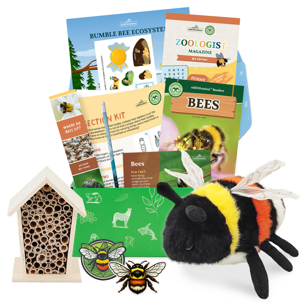Educational bee-themed items including a plush bee, books, and a bee house on a white background