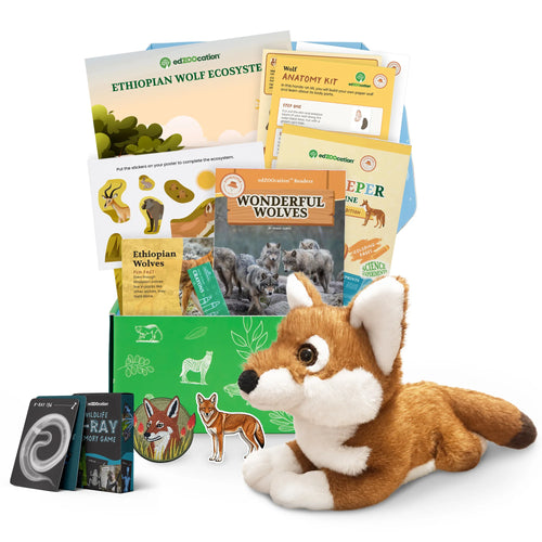 An Ethiopian wolf-themed educational activity box from edZOOcation designed for ages 3–5, featuring a plush Ethiopian wolf toy, the Wonderful Wolves reader, a Zookeeper magazine, an Ethiopian wolf ecosystem poster with sticker sheet, a wolf anatomy kit, crayons, an embroidered patch and a wildlife x-ray memory card game.