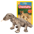 Komodo Dragon Plush in front of a level 2 National Geographic Kids Cheetahs book
