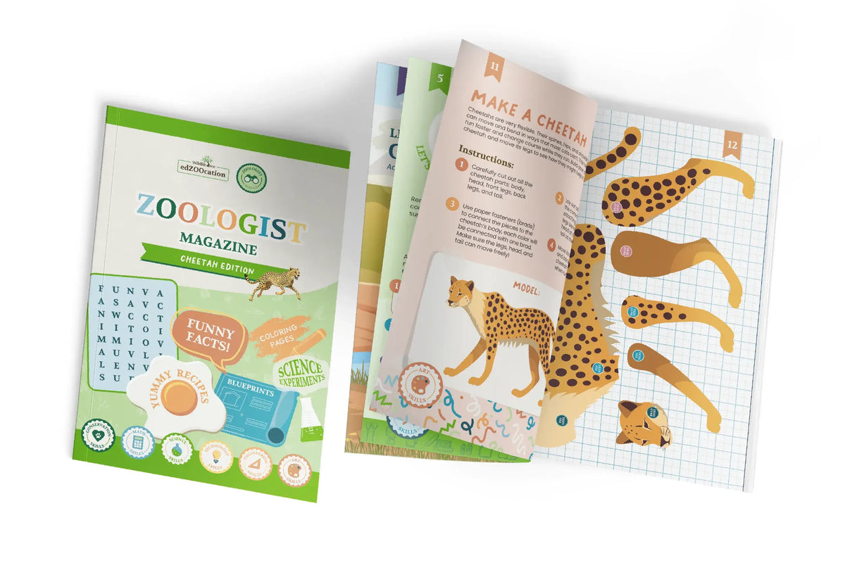 Activity Magazine