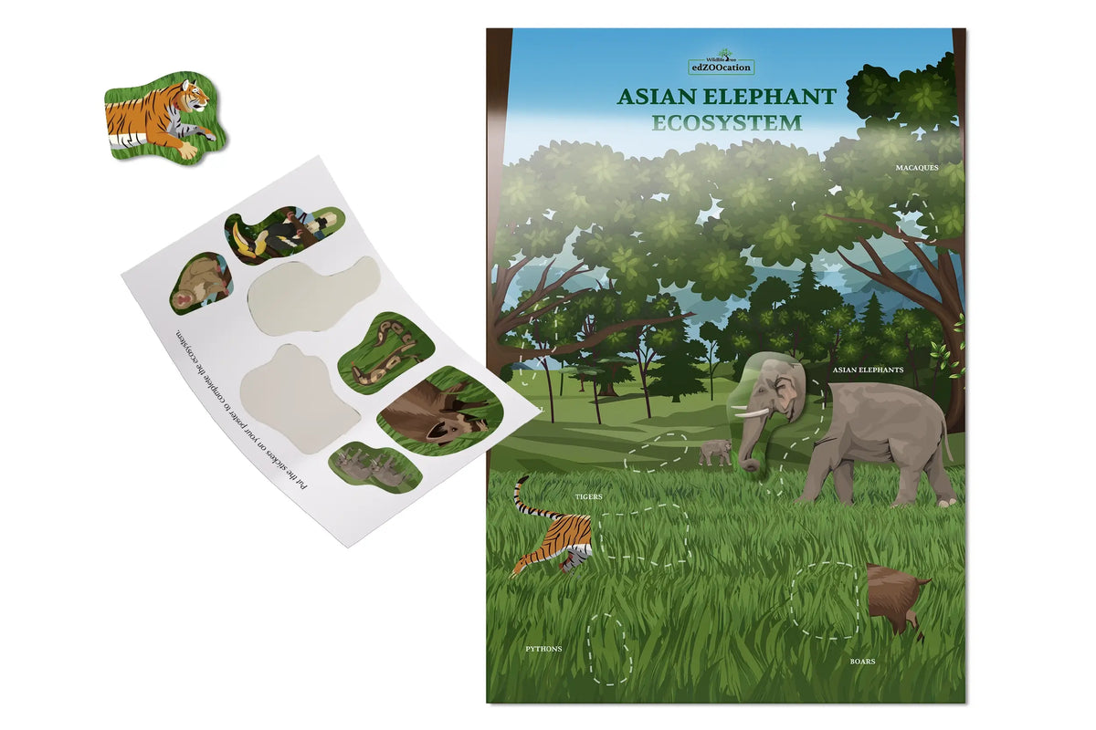 Ecosystem Poster