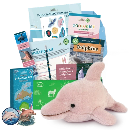 Dolphin