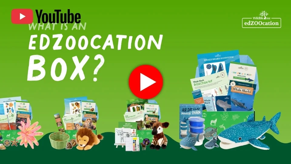 web-image-home-page-youtube-2.webp__PID:6f6ca961-a1e9-4dd4-b5e5-d010375e1415